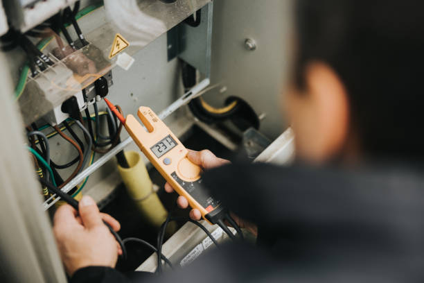 Best Electric Panel Repair  in La Feria, TX