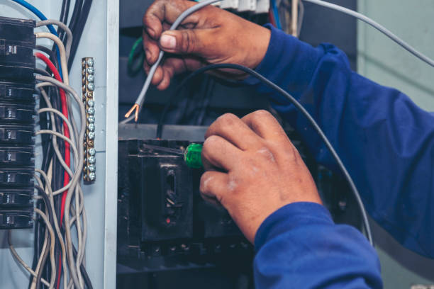 Best Electrical System Inspection  in La Feria, TX